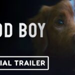 Good Boy