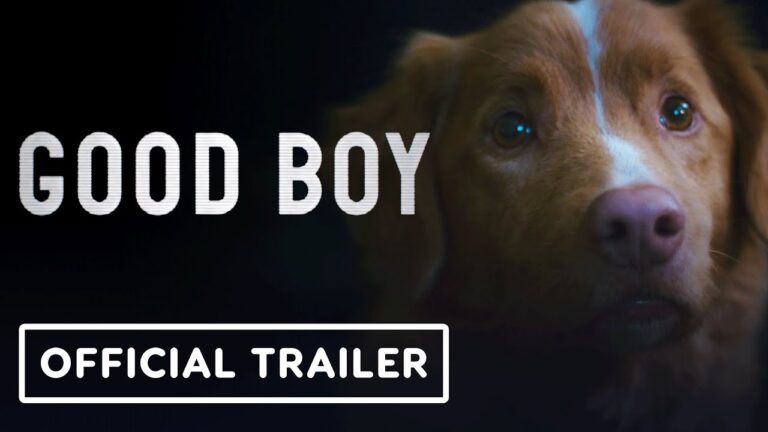 Good Boy
